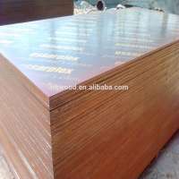 Linyi plywood manufacture ,film faced plywood with brand name